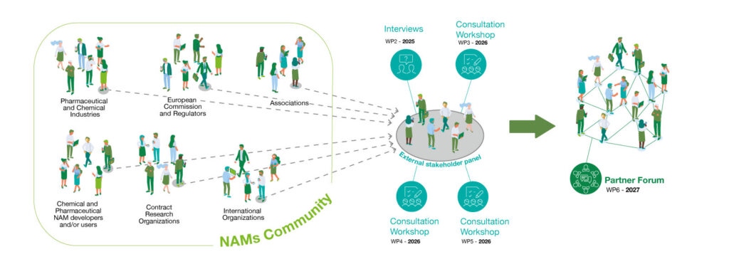 Infographic showing the NAMS community and stakeholder engagement process: multiple groups such as chemical/pharmaceutical industries, regulators, associations, research organizations and international bodies are illustrated on the left; arrows lead to an external stakeholder panel in the centre with interviews and workshops; and then an arrow to a partner forum on the right representing connected network collaboration.
